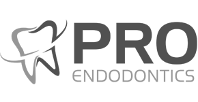 pro_20endo_20logo